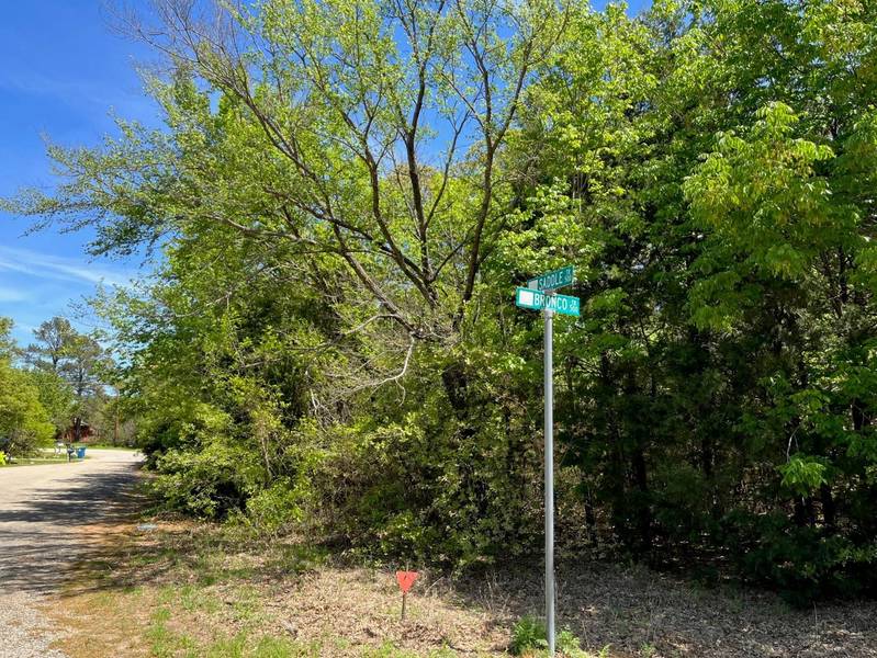 Lot 391 Bronco Trail & Saddle Trail, Oak Point, TX 75068