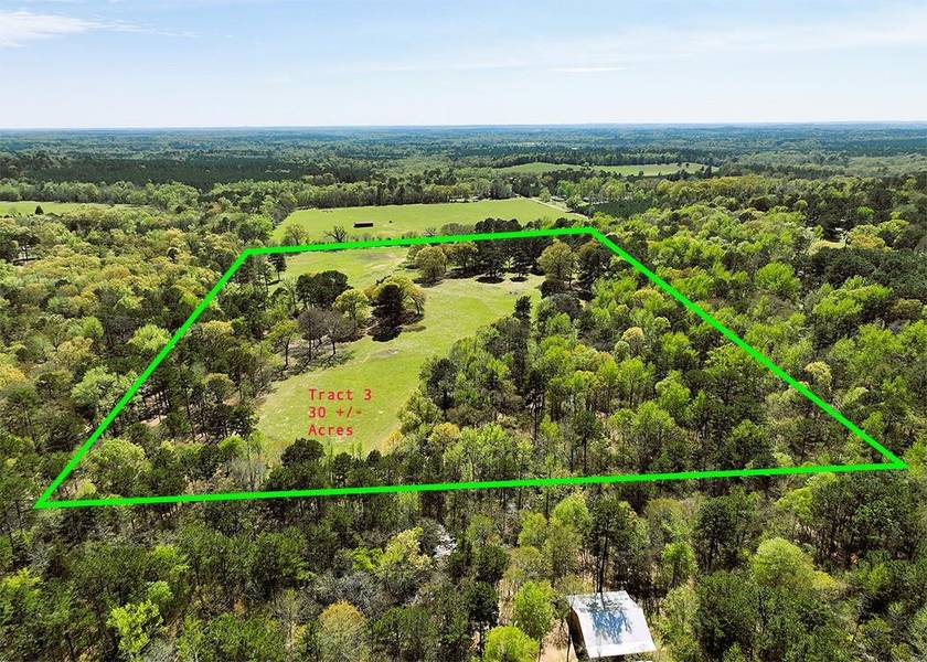 TBD Holly Road, Tract 3-30+/- Acres, Gilmer, TX 75644