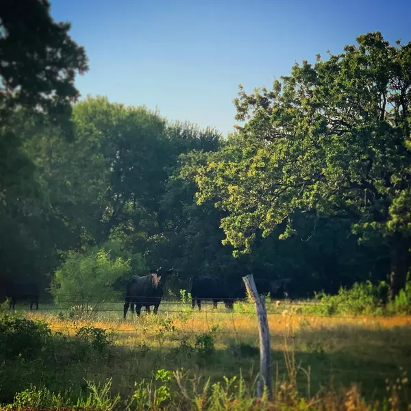 Paradise, TX 76073,1857 Sunflower