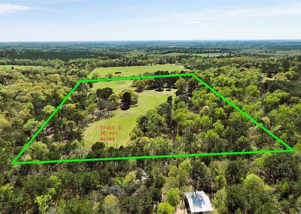 TBD Holly Road, Tract 3-30+/- Acres, Gilmer, TX 75644