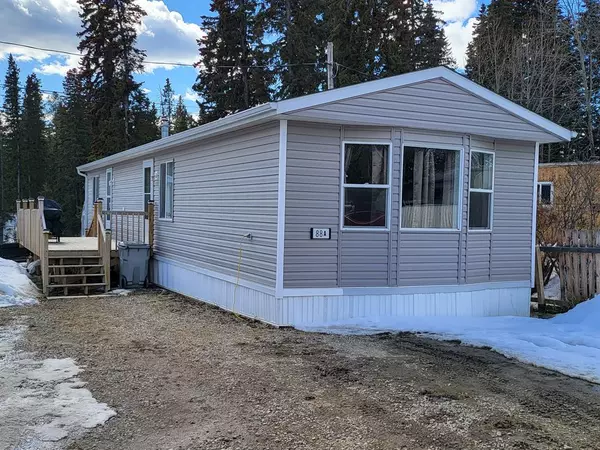 Edson, AB T7E 1P4,810 56 ST #88A