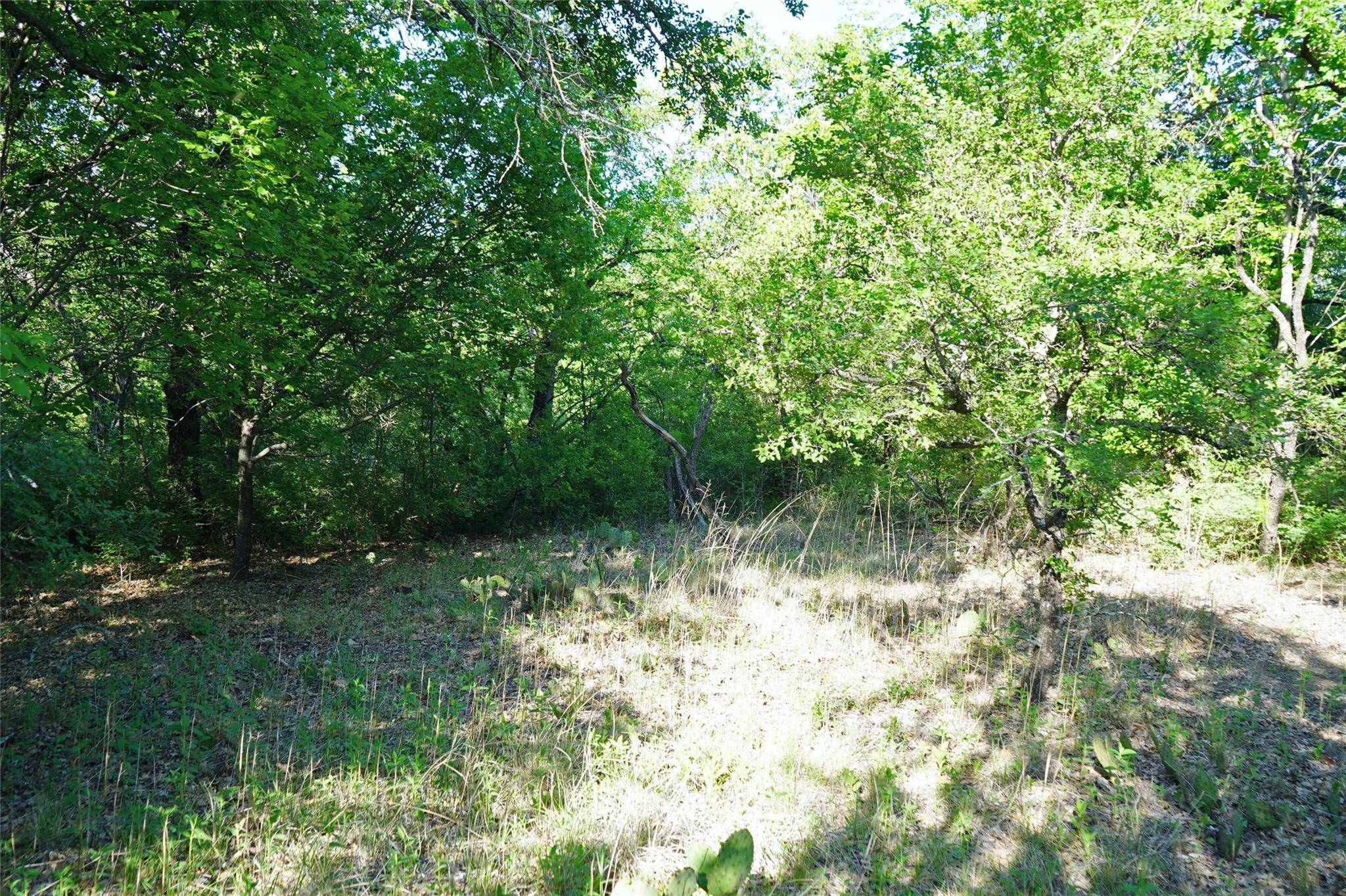 Lot 58 Greenhollow Court, Runaway Bay, TX 76426