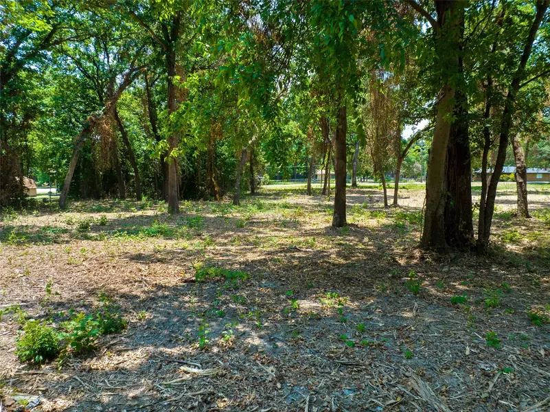 Lot 3 Skipper Drive, Tool, TX 75143