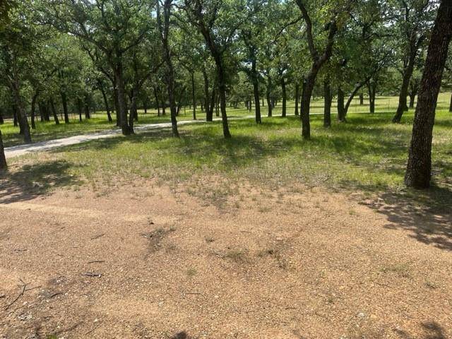 1461 S Fm 113, Millsap, TX 76066