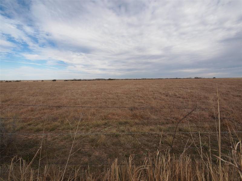 0003 Turtle Hole Road, Loving, TX 76450