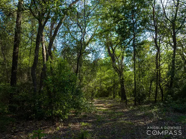 Oak Point, TX 75068,1017 Fox Hollow Lane