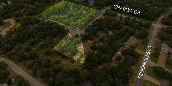 TBD (12 LOTS) PEDERNALES & CHARYLA, Athens, TX 75752