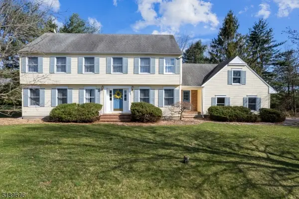 75 Mill Pond Rd, Montgomery Twp., NJ 08502