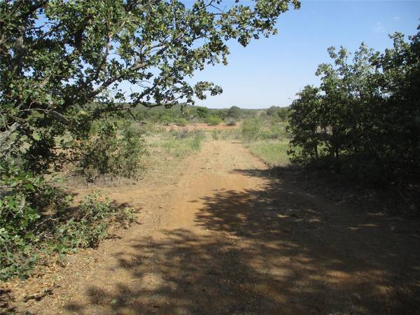 50 ac Hwy 16, Loving, TX 76460