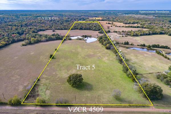 TBD VZ County Road 4509, Ben Wheeler, TX 75754