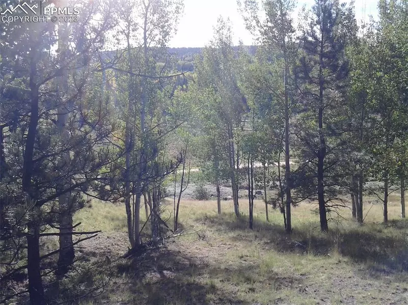 69 Yorktown RD, Cripple Creek, CO 80813