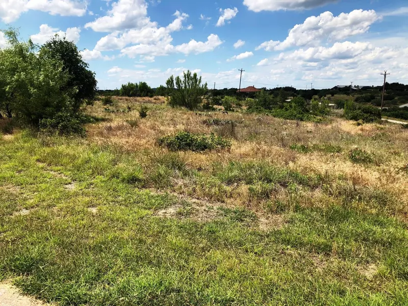 Lot133 Olympic Drive, Possum Kingdom Lake, TX 76449