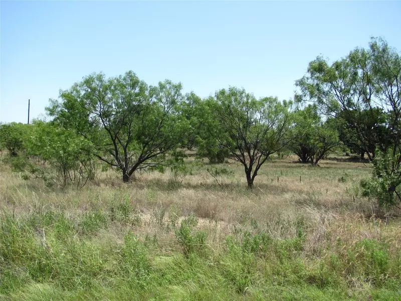 Lot 502 Feather Bay Drive, Brownwood, TX 76801