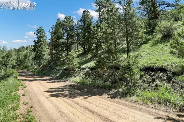 Green Mountain Falls, CO 80819,9455 Canyon DR