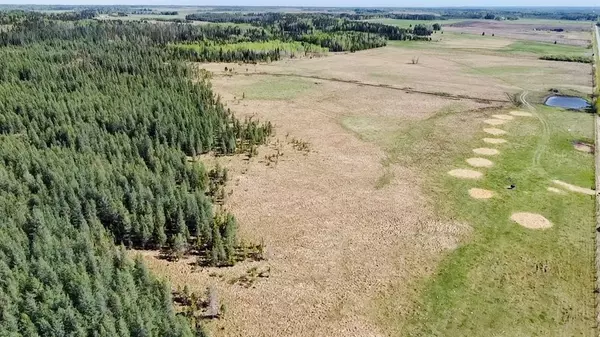 Rural Clearwater County, AB T0M 0A0,On Range Road 5-3