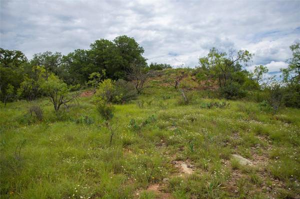 12079 County Road 417, May, TX 76857