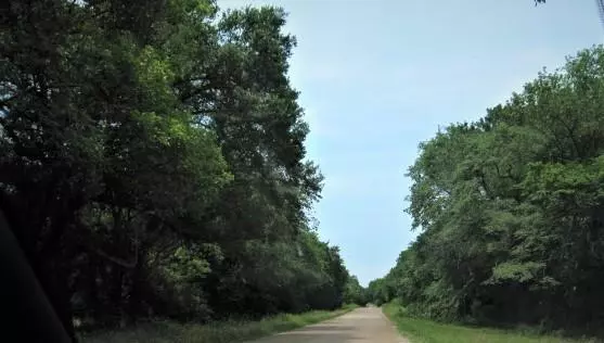 Canton, TX 75103,000 VZ County Road 2501