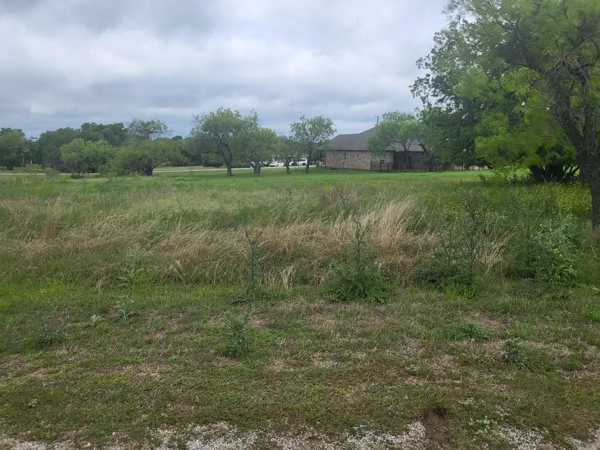 Whitney, TX 76692,35017 S Shadywood Lane