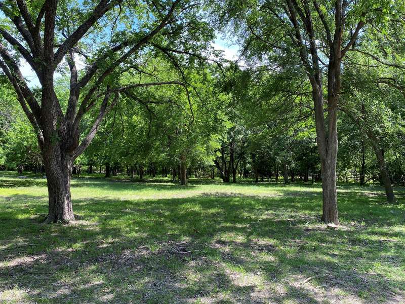 540 (Lot 19) Farms Road, New Hope, TX 75071