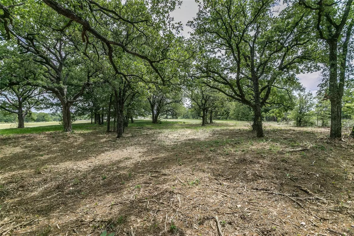 Boyd, TX 76023,TBD County Road 4599 Lot 1