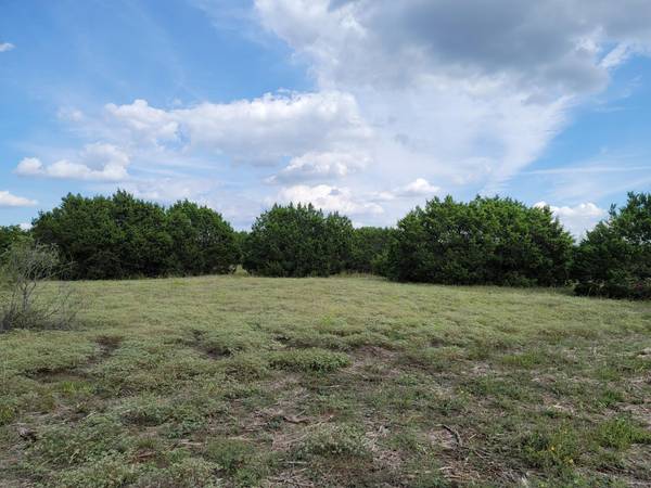 TBD - Lot 31 Farm to Market 934, Blum, TX 76627