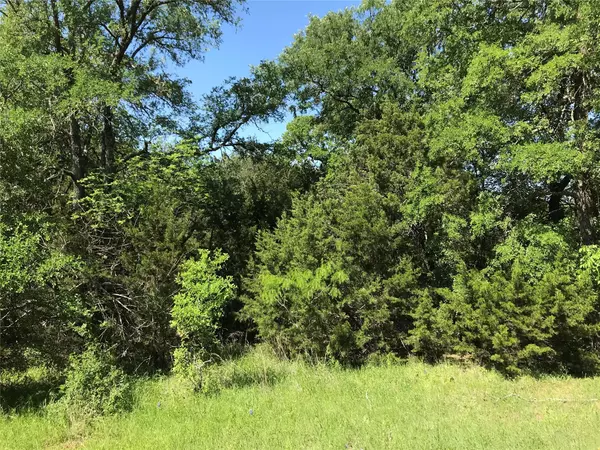 Whitney, TX 76692,1344 Sandrock Trail