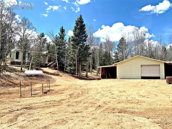 10104 S Highway 67, Divide, CO 80814