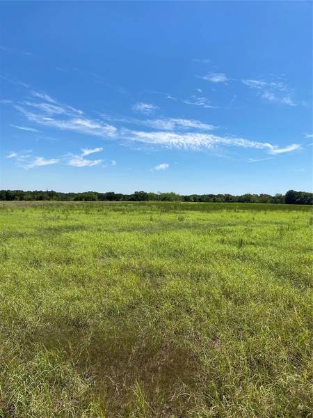 Lot 14 TBD CR 1126, Cumby, TX 75433