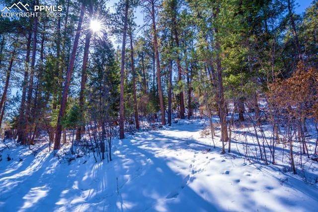 0 Fowler Branch, Palmer Lake, CO 80133