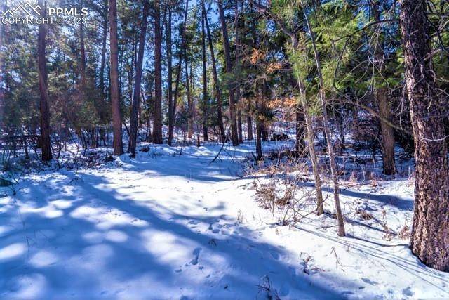 Palmer Lake, CO 80133,0 Fowler Branch