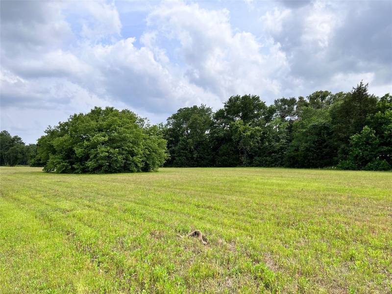 Lot 51 Canal St., Corsicana, TX 75109