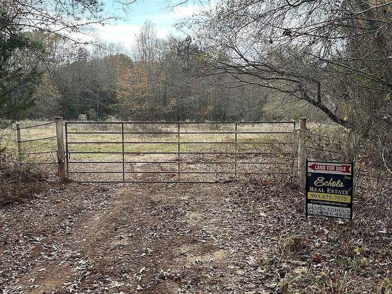 TBD County Road 3418, Brownsboro, TX 75756