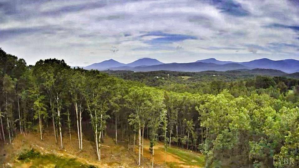 Goode, VA 24556,4969 Otterville RD