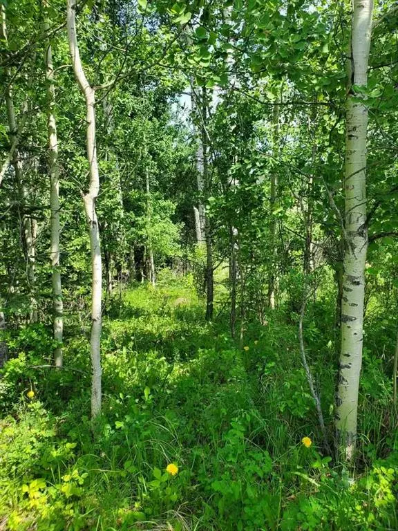 Rural Clearwater County, AB T0M 1X0,8 Beaver Tail Close