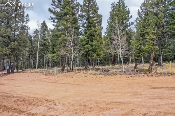 278 Cherry Lake DR, Divide, CO 80814