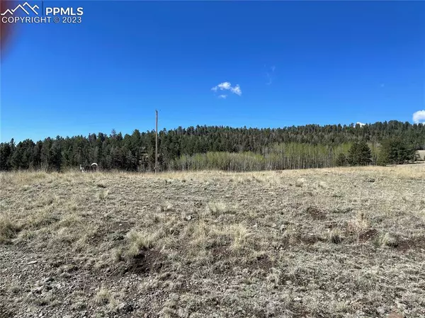 Florissant, CO 80816,County Road 403