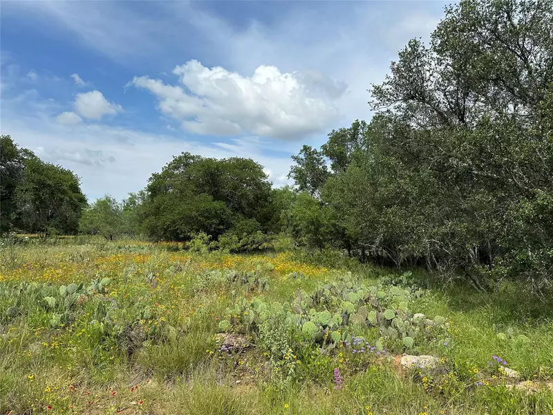 TBD Woods Landing Drive, Brownwood, TX 76801