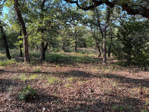 361 Nocona Drive, Nocona, TX 76255