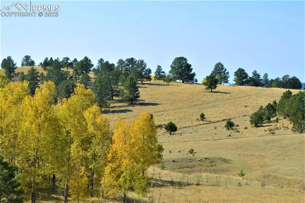 Victor, CO 80860,County Road 86