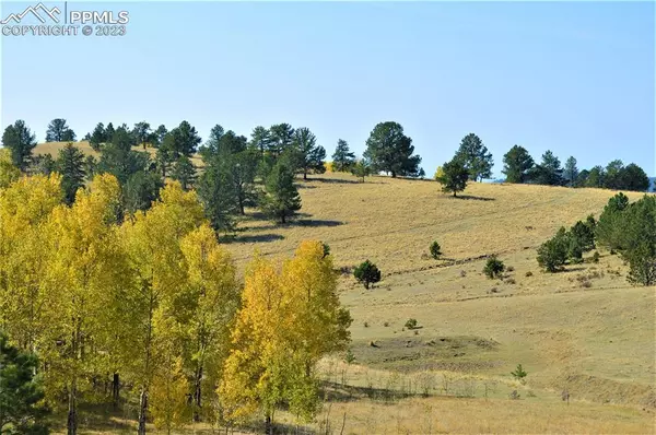 County Road 86, Victor, CO 80860