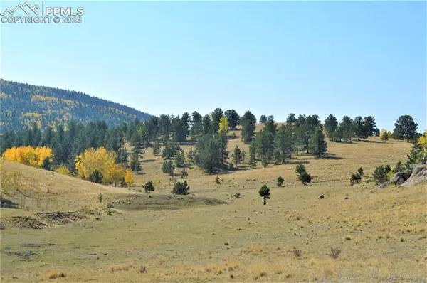 Victor, CO 80860,County Road 86