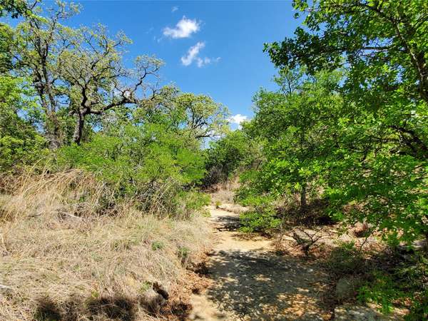 TBD County Rd 166, Comanche, TX 76442