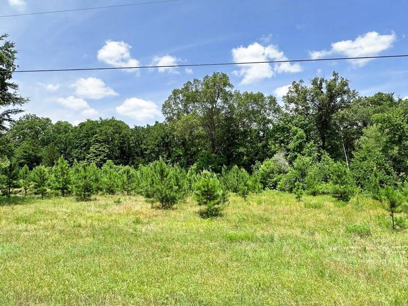 Lot 28 Lee Road, Murchison, TX 75778