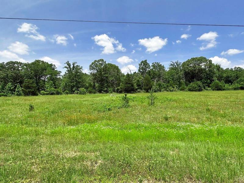 Lot 29 Lee Road, Murchison, TX 75778