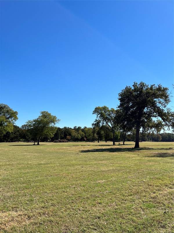 Lot 6 TBD FM 47, Wills Point, TX 75169