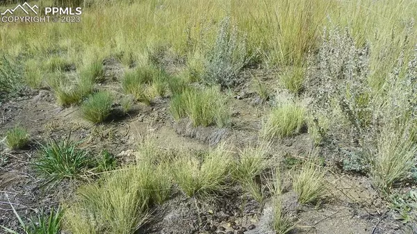 Hartsel, CO 80449,0 Kansa RD