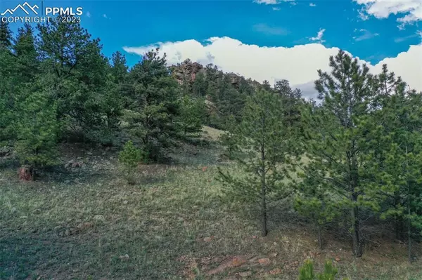 Florissant, CO 80816,1251 Lakemoor DR