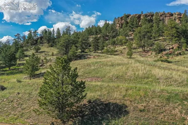 Florissant, CO 80816,1251 Lakemoor DR