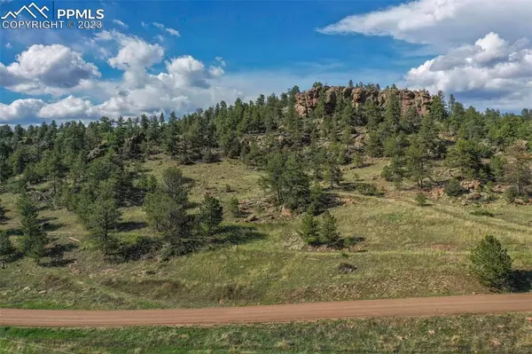 Florissant, CO 80816,1251 Lakemoor DR