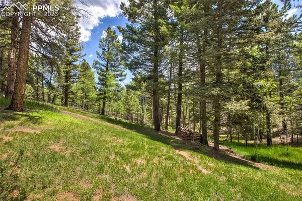 170 Lake CIR, Divide, CO 80814